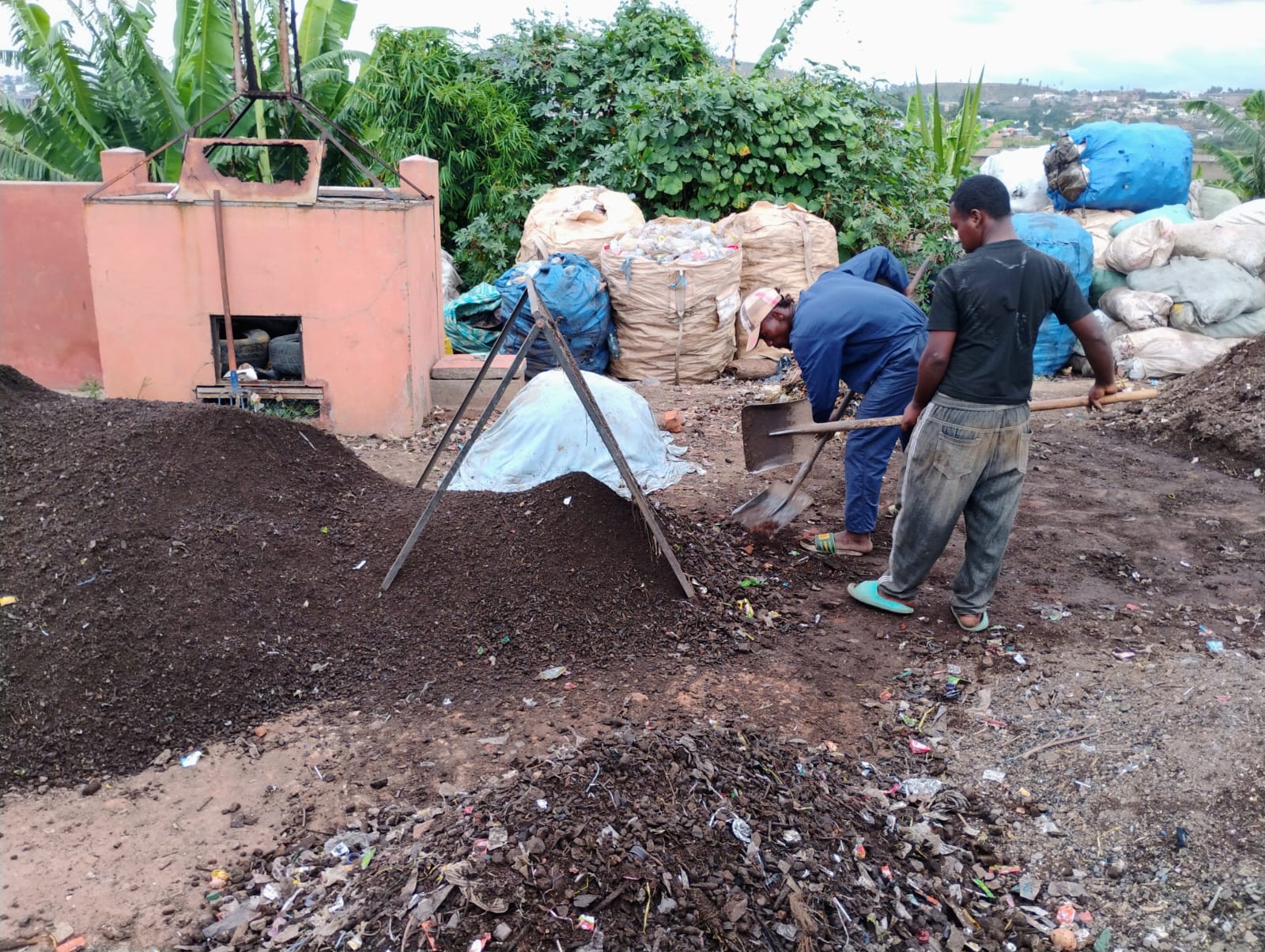 Madagascar agriculture